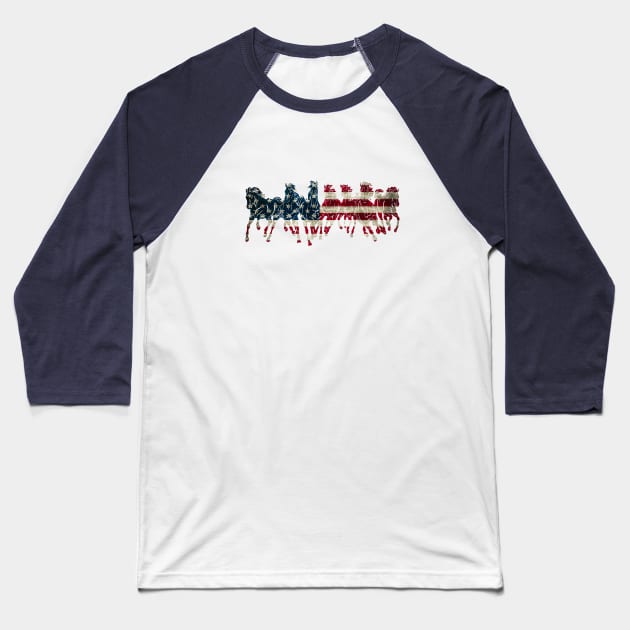 American Pride Baseball T-Shirt by RedRock_Photo